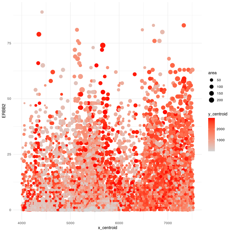 Relationship between ERBB2 Expression and Cell Area