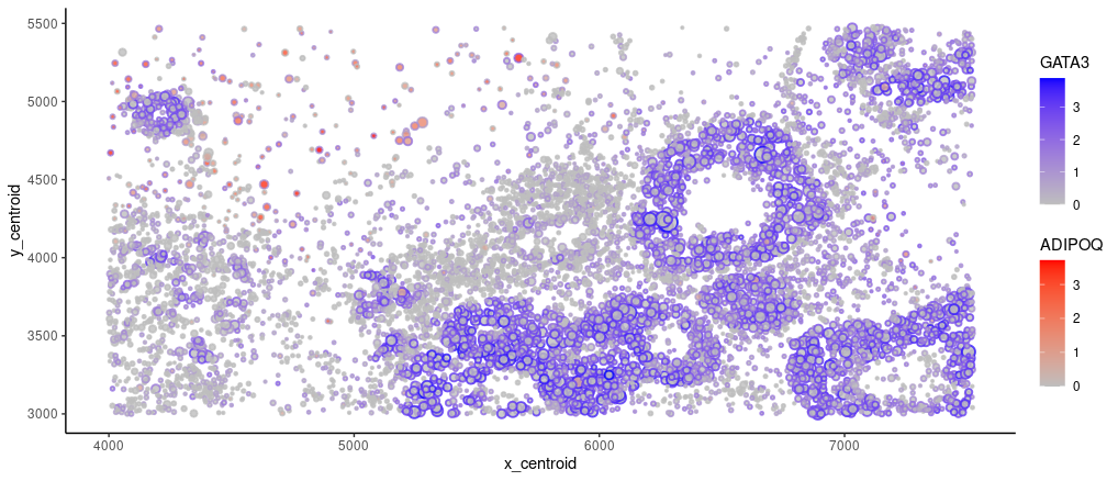 Spatial Distribution of GATA3 and ADIPOQ expressions