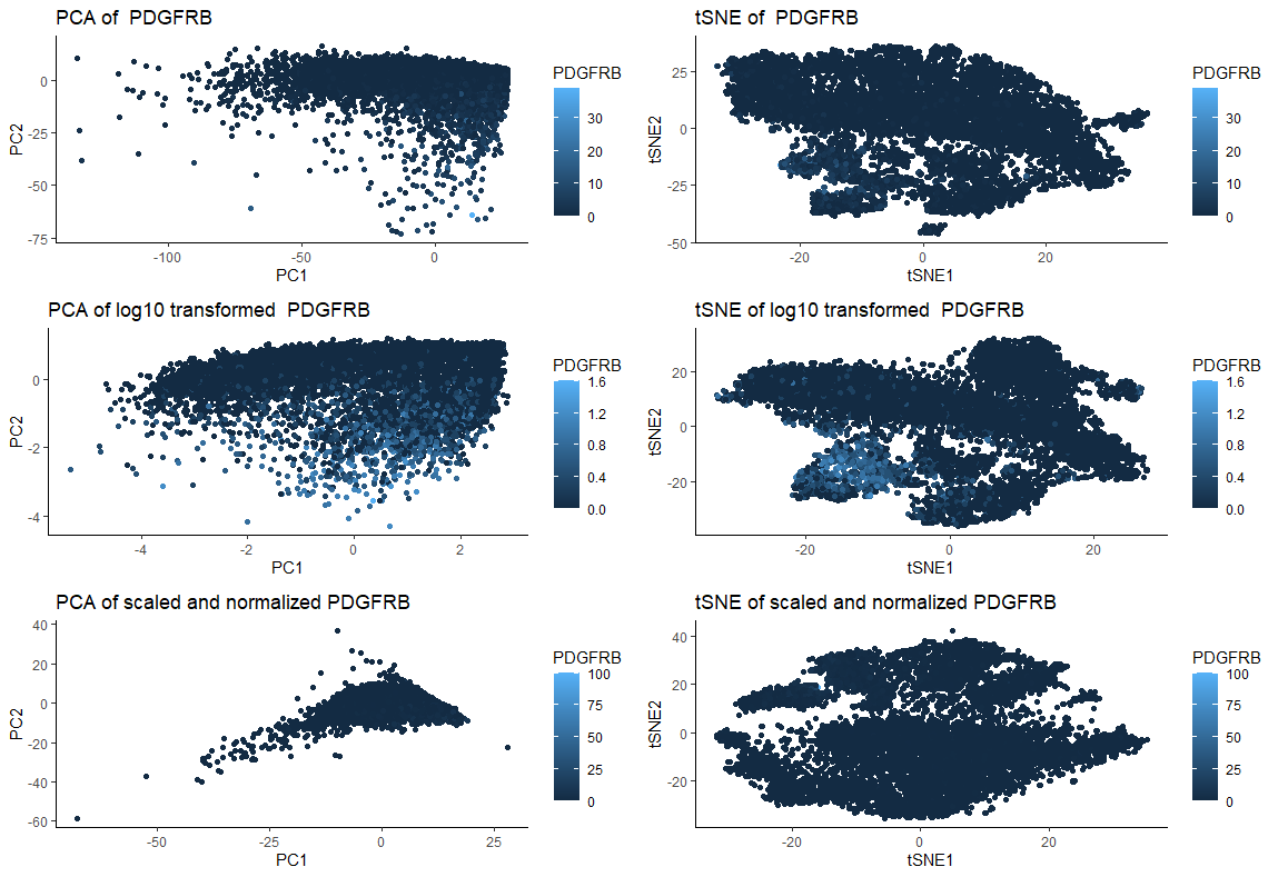 The effects of log transformation, scaling and normalization prior to PCA and non-linear dimensionality reduction (tSNE) on PDGFRB gene expression data