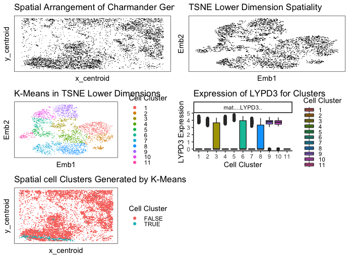 Determining Cell Type with Kmeans Approach