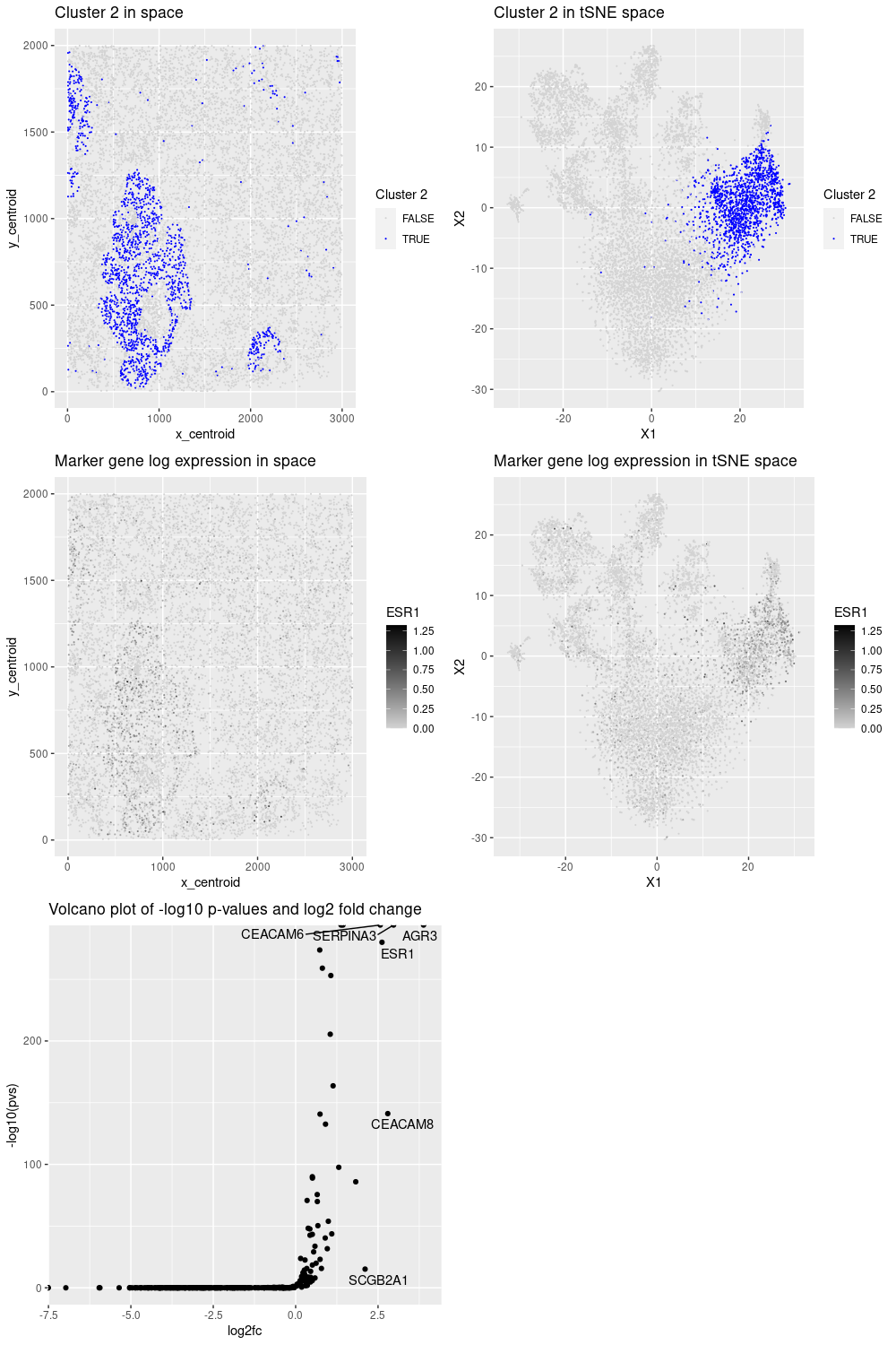 Differentially expressed genes and cell-type annotation for cluster 2