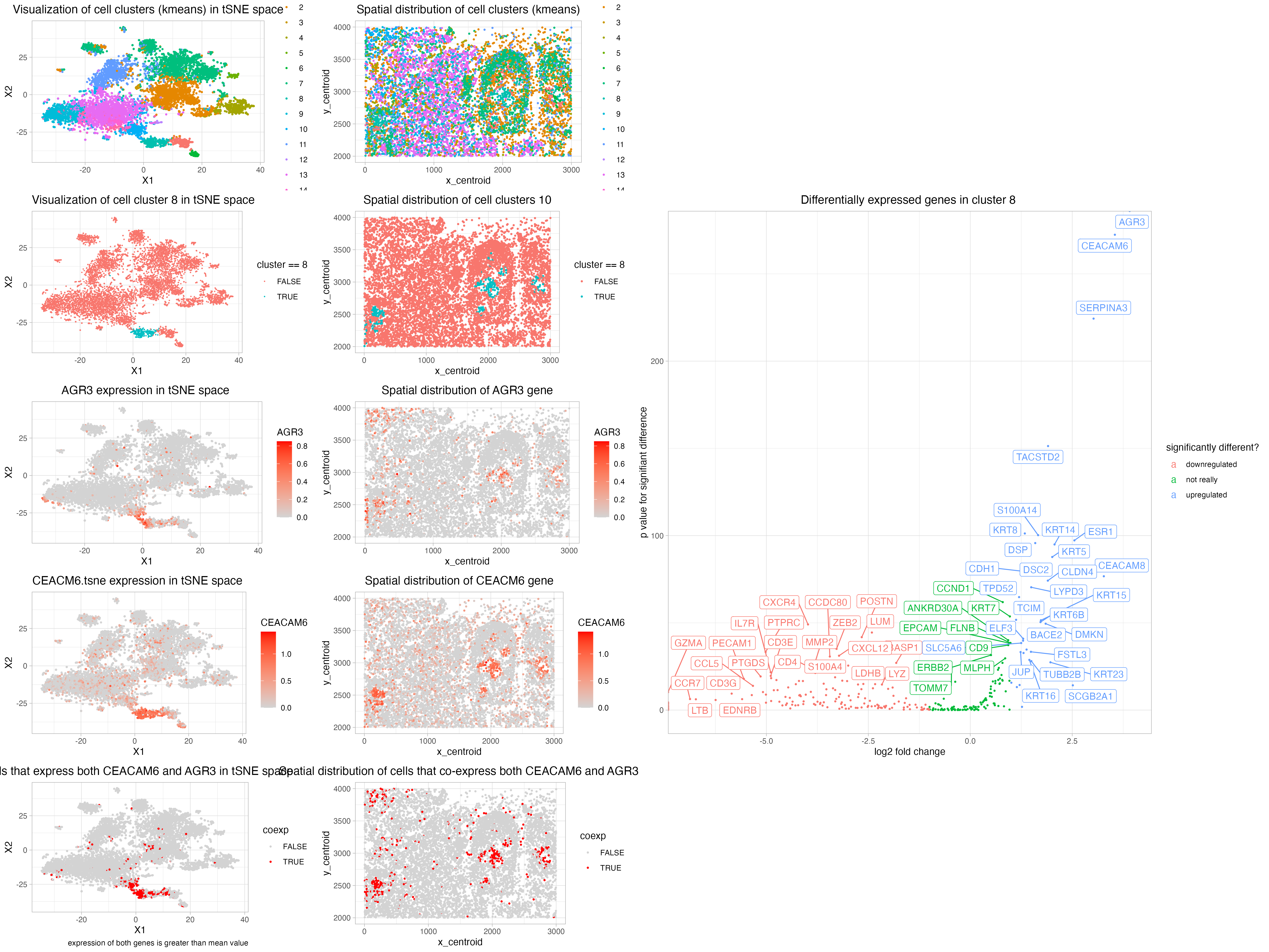 Exploration of Spatial Gene Expression